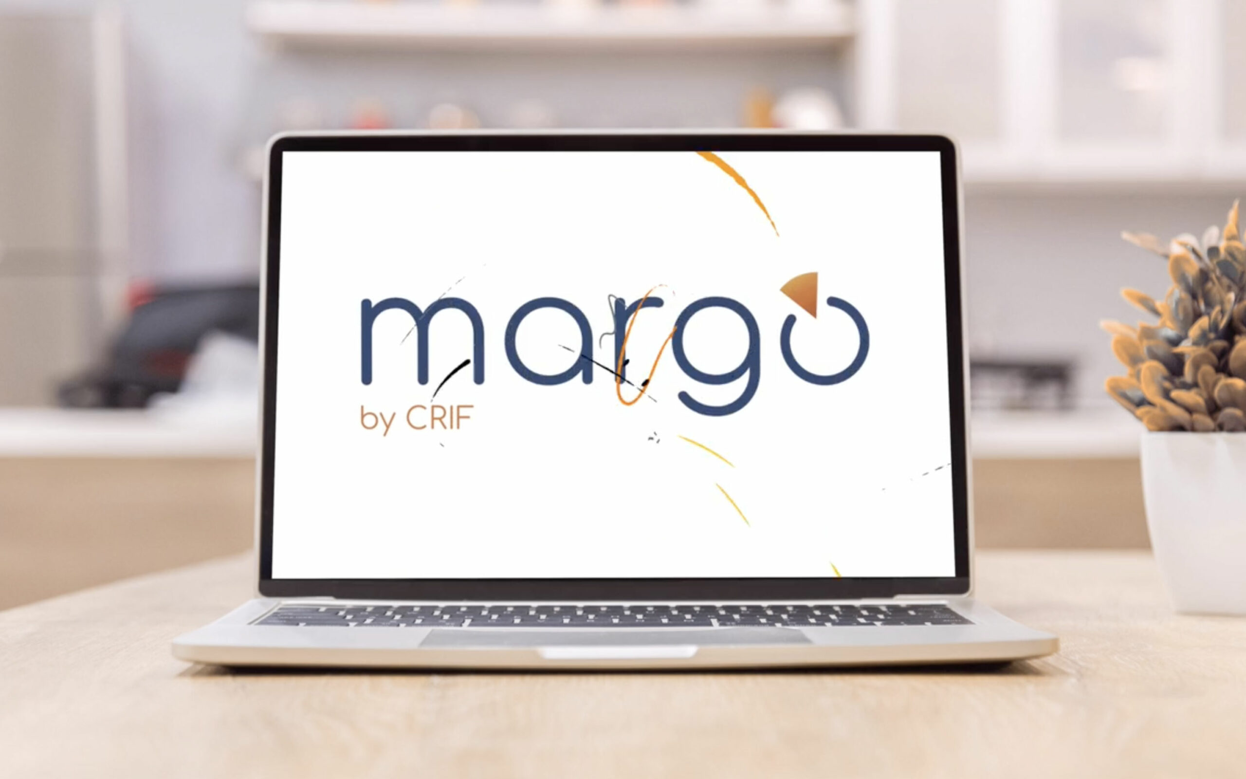 Margò Cribis Platform